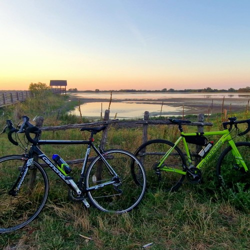 Our bikes