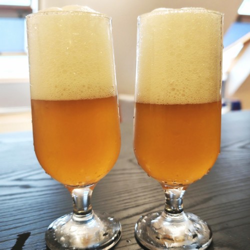 Our IPA, 5% ABV