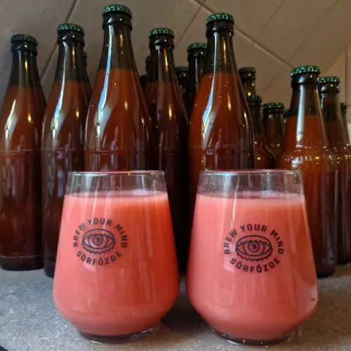 Our Double Strawberry Smoothie Sour, 8% ABV